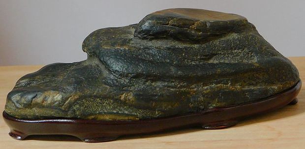 4396 姉川真黒石 ウブ  横33(cm) 13.58kg 瀬田川石水石自然石盆石